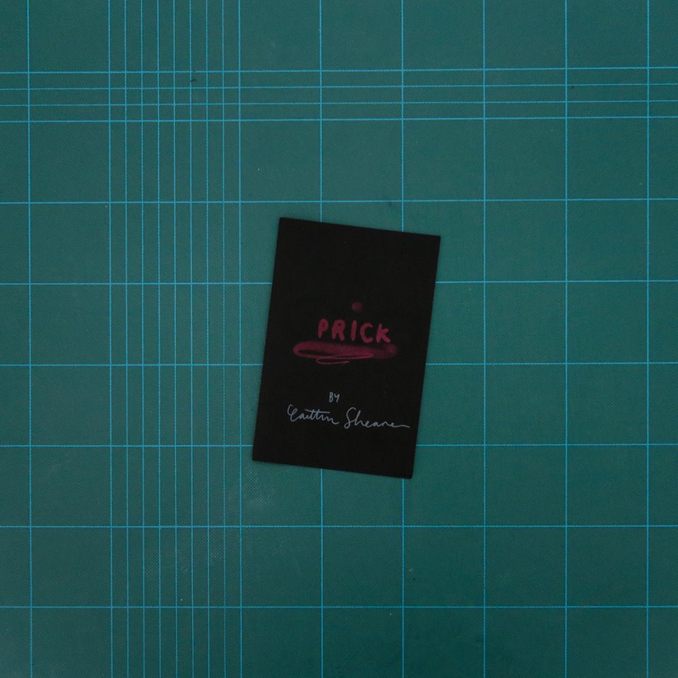 Prick, by Caitlin Shearer, collection of the Christchurch/Otautahi Zine Library (Photo credit: Jane Maloney/MK Press)