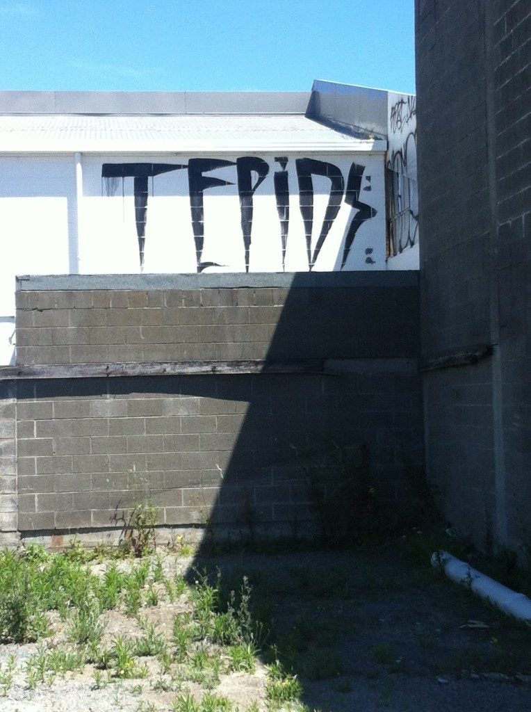 TEPID roller tag, central Christchurch, c.2012