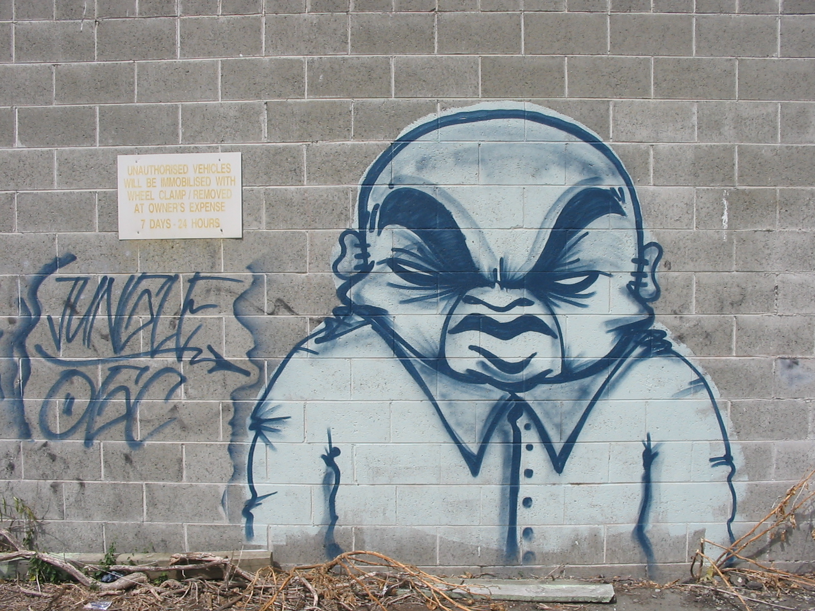 A Jungle character and tag from the mid-2000s, Christchurch. (Photo supplied by Dcypher)