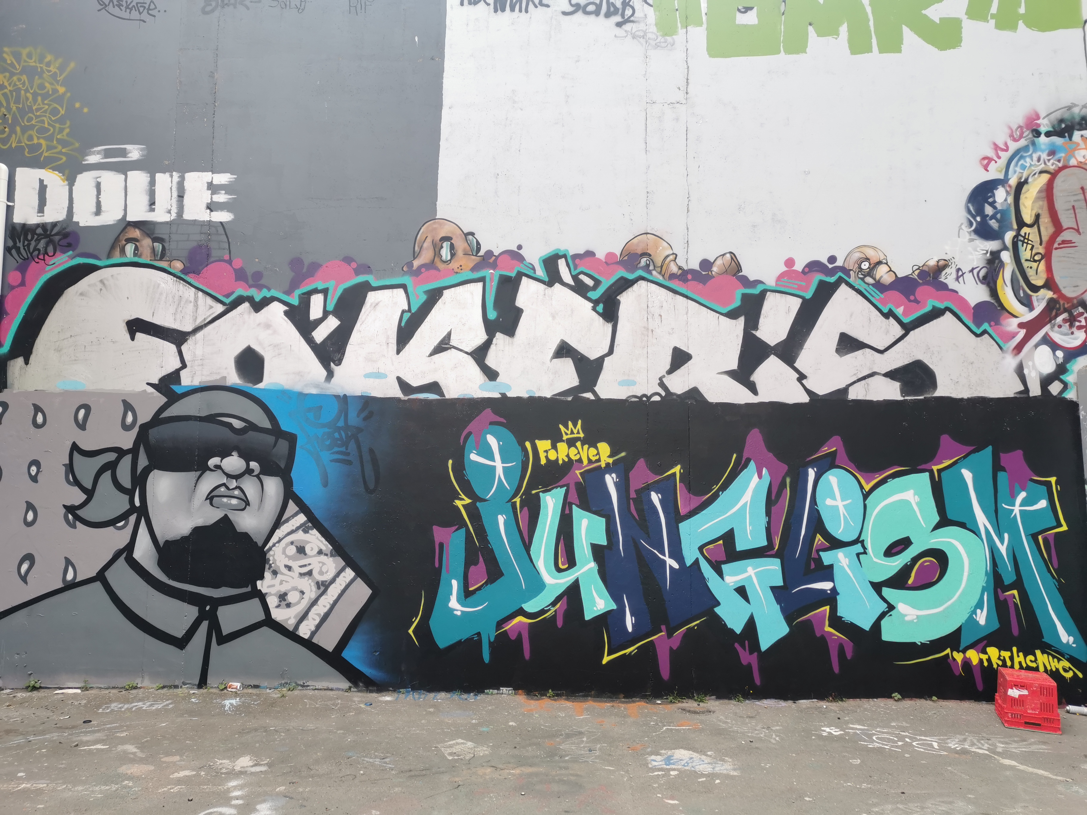 Junglism piece by Ikarus and a portrait of Jungle by Freak, Christchurch, 2020.