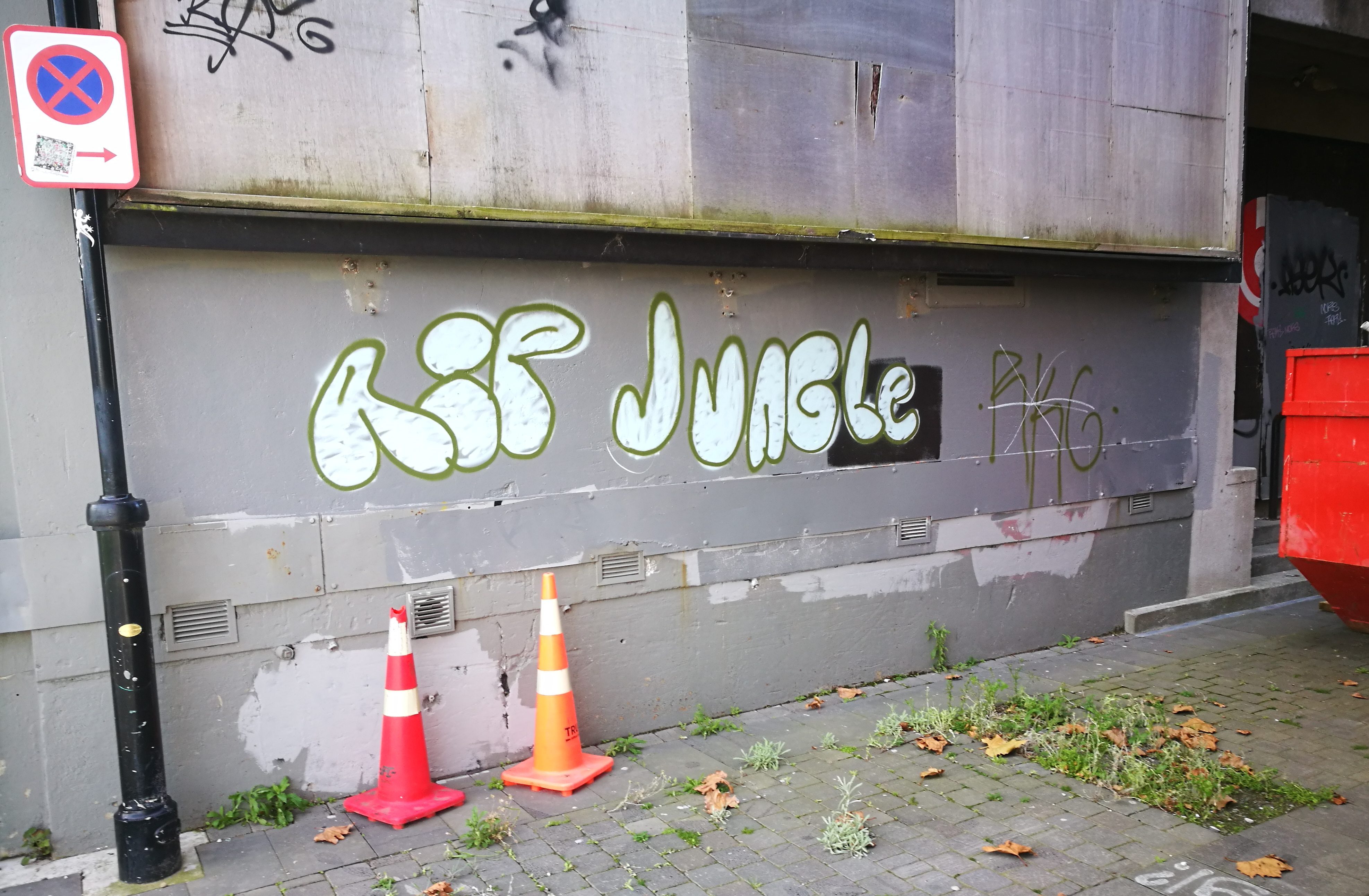 RIP Jungle graffiti, central Christchurch, 2019.
