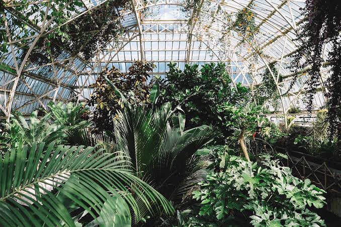 The Botanic Gardens remain a surprising treat in the heart of the city (Photo provided by Tom Kerr)