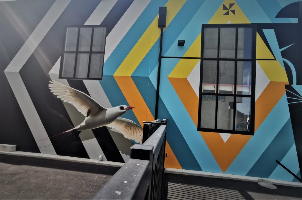 The collaboration between Work and TMD crew mate Charles Williams on the Etu Pasifika Health Centre, 2021. The mural features diamonds of blues oranges and yellow, with a realistic tropicbird fllying upwards from the left. On the right, a massive stylised Tongan Chief figure .stands rigidly